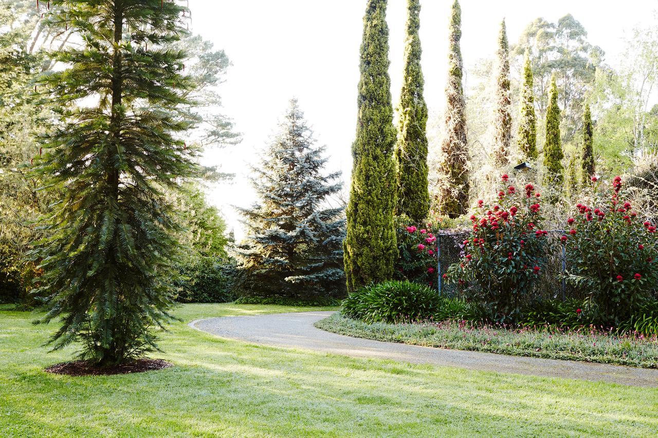 Beechmont Garden Retreat Guest House Олинда Екстериор снимка