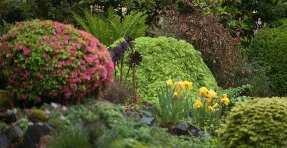 Beechmont Garden Retreat Guest House Олинда Екстериор снимка