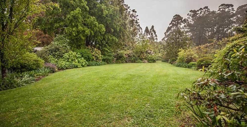 Beechmont Garden Retreat Guest House Олинда Екстериор снимка