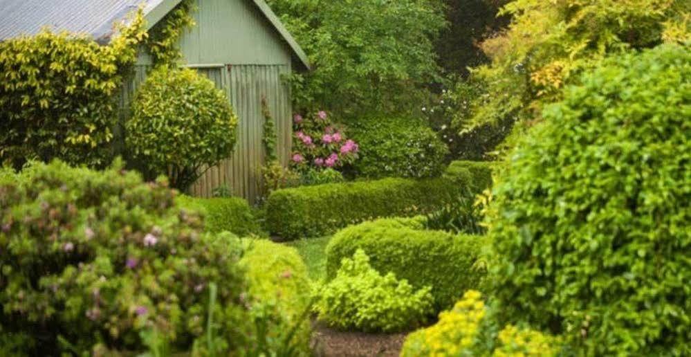 Beechmont Garden Retreat Guest House Олинда Екстериор снимка
